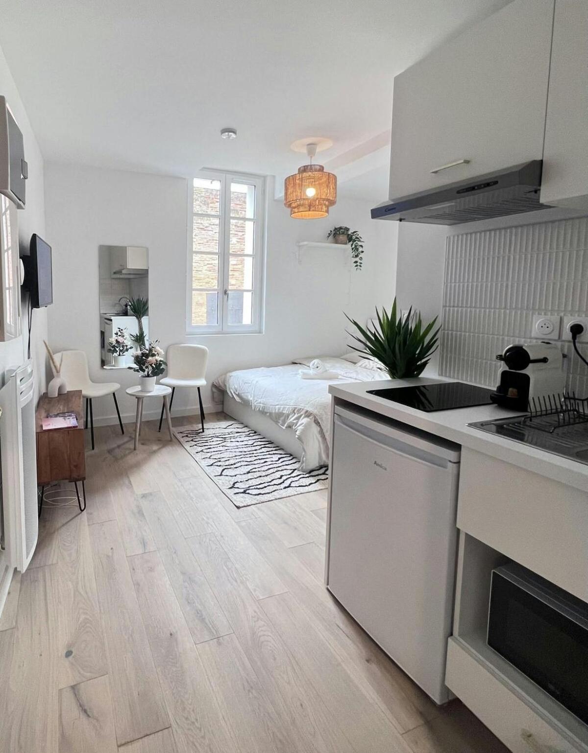 Apartament Le Saphir Tuluza Zewnętrze zdjęcie